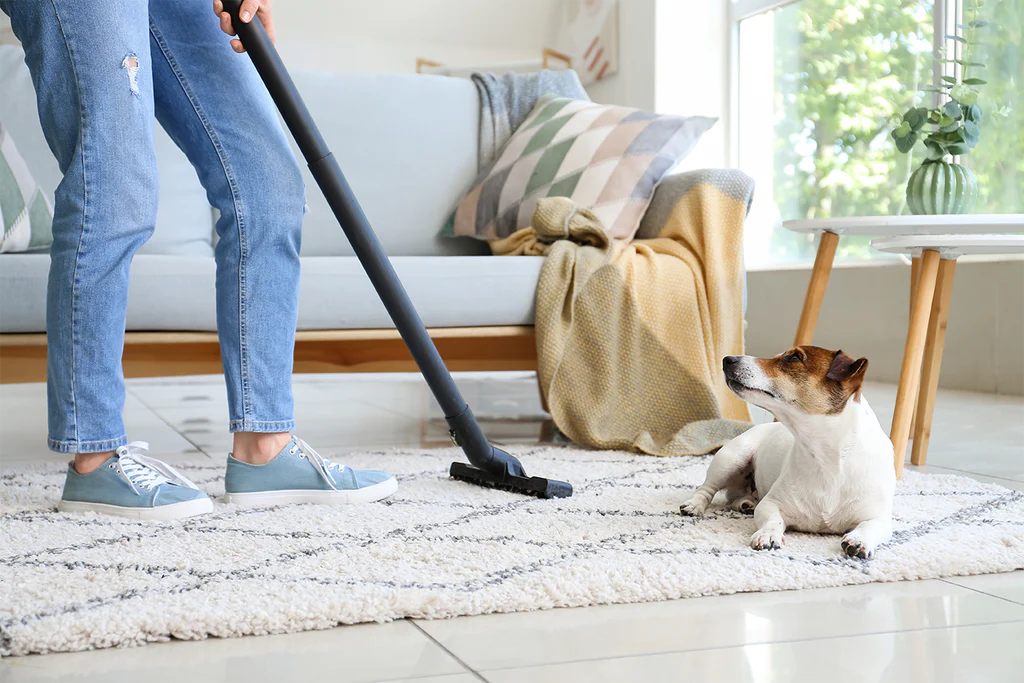 Why Choose Doo Doo Patrol Pooper Scooper Services