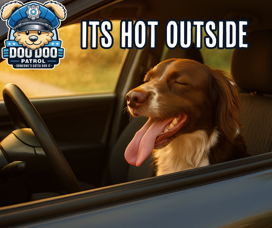 Dog sitting in car with its tongue out, smiling, and text overlay "ITS HOT OUTSIDE," highlighting pet safety in hot weather, relevant to pet care in Arizona.